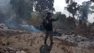 Kebakaran Melanda Jalur Pendakian Gunung Slamet di Guci