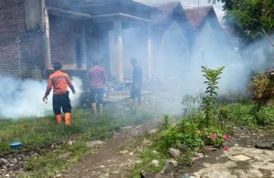 Kasus DB di Brebes Bertambah 89 Pasien