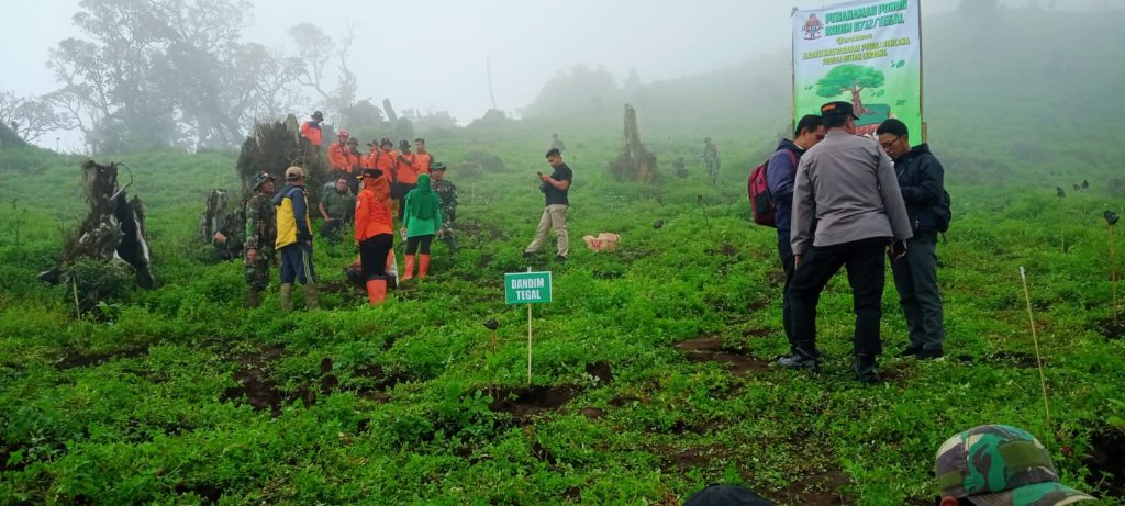 40 Hektar Lahan Ditanami 16.000 Pohon