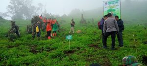 40 Hektar Lahan Ditanami 16.000 Pohon