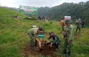 2.500 Bibit Pohon Ditanam Untuk Percepatan Rehabilitasi Hutan Lindung di Brebes