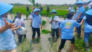 TKN Prabowo-Gibran Tanam Padi dan Borong Produk UMKM di Kota Tegal