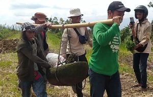 Dikeramatkan, Batu Kenteng Diduga Peninggalan Masa Megalitikum Dievakuasi ke Museum