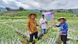KPw BI Tegal Panen Bawang Putih Hasil Seleksi Varietas Pengembangan IPB University