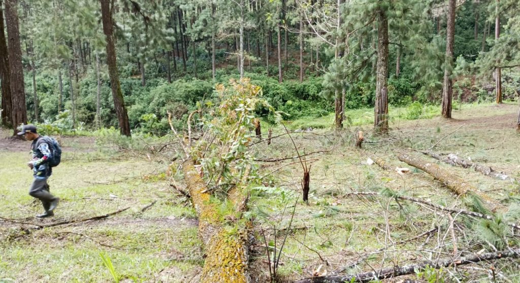 Cuaca Buruk, Jungle Permadi Ditutup Sementara