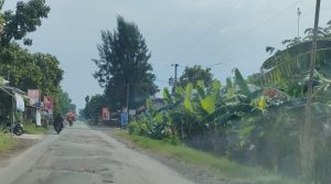 Pemkab Brebes Anggarakan Rp 7,6 M Perbaiki Ruas Jalan Tengguli-Luwunggede