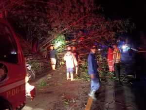 Jalur Nasional Tonjong – Purwokerto Sempat Tertutup Longsor, Berhasil Ditangani