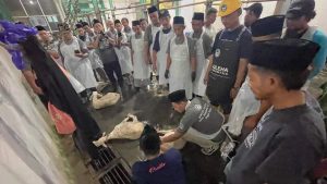 Memastikan Daging Halal, Juleha Gelar Pelatihan Menyembelih Hewan Secara Halal