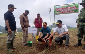 Perhutani KPH Pekalongan Barat Rencanakan Penanaman 378.510 Pohon