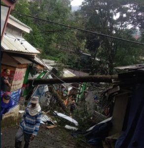 Enam Warung di Wisata Guci Tertimpa Pohon