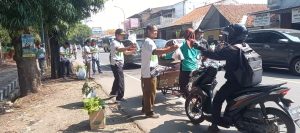 Sedekah Bibit, Perhutani Pekalongan Barat Bagikan 500 Bibit Jati dan Nangka
