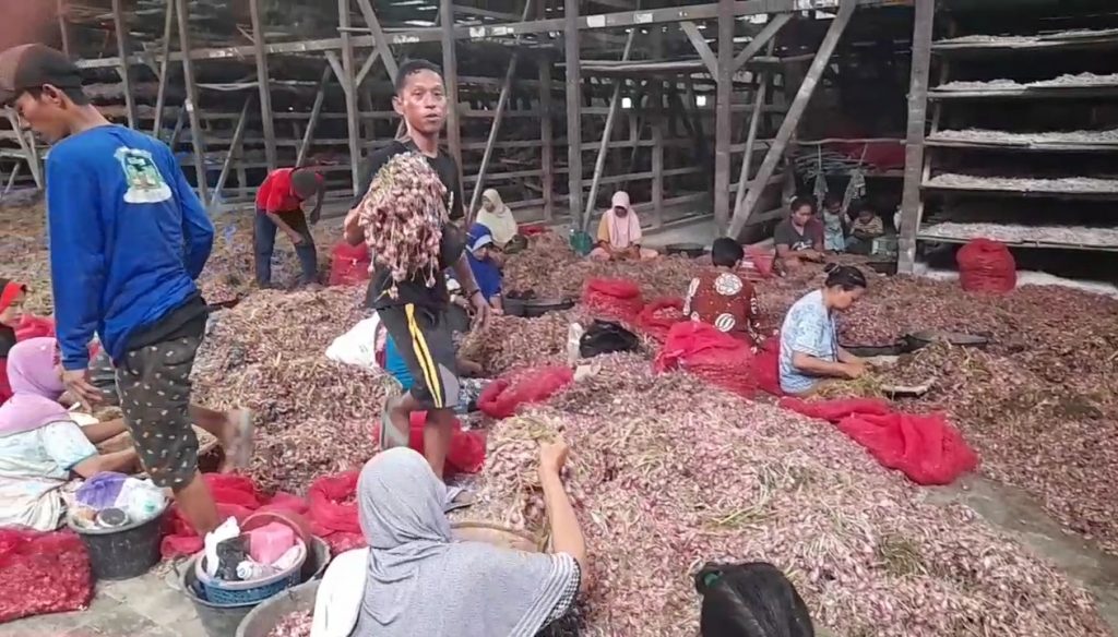 Harga Bawang Merah Tembus Rp 50.000/ Kg, Ini Faktornya