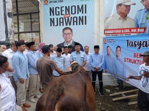 Menang Pilpres, DPC Gerindra Kabupaten Tegal Dapat Hadiah Sapi