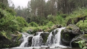 Permadi Jugle, Surga Tersembunyi di Kaki Gunung Slamet