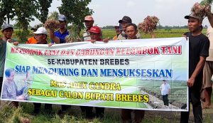 Kelompok Tani di Brebes Deklarasi Ketua ABMI Maju di Pilbup
