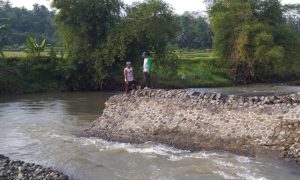 Bendung Rusak, Sawah Beralihfungsi Jadi Tanah Kavling