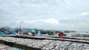 HNSI Jateng Minta Kejelasan Penundaan Kebijakan Penangkapan Ikan Terukur