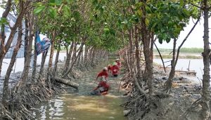 Dinas Perikanan Brebes Launching Program Rositampan