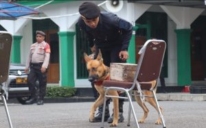 Polres Tegal Latih Unit Satwa K9