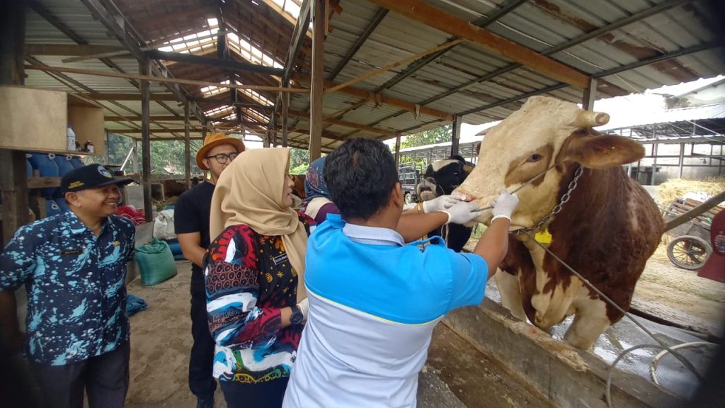 Dinas KPTan Pastikan Hewan Kurban Sehat dan Aman Dikonsumsi