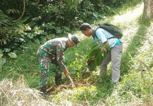 Penanaman Pohon untuk Konservasi Mata Air di Desa Cikendung Kecamatan Pulosari
