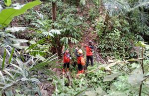 Pamit ke Kebun Kopi, Kakek di Bantarkawung Hilang di Hutan