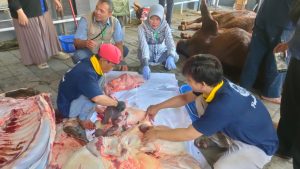 DKPPP Turunkan Tim, Pastikan Daging Kurban Layak Konsumsi