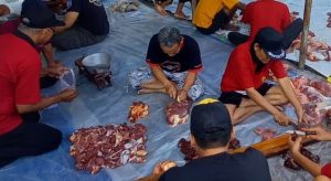 Tips Menyimpan Daging Kurban di Kulkas Biar Tetap Segar