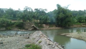 Gawat! 70 Persen Sawah Irigasi di Desa Pruwatan Beralih Jadi Tadah Hujan