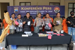 Polisi Bongkar Tanam Ganja di Atap Rumah di Bumiayu, Satu Pelaku Diringkus