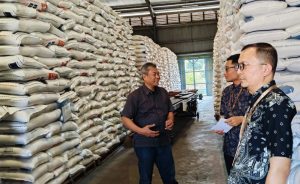 5 Bulan Kedepan, Stok Beras di Eks Karesidenan Pekalongan Aman