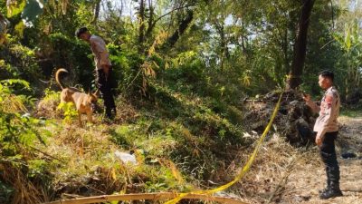 Polisi Terjunkan Anjing Pelacak, Usut Kasus Mayat Wanita Separuh Badan di Brebes