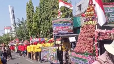 Sejumlah Warga Kecopetan Saat Berebut Gunungan di Festival Bawang Merah