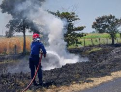 Kebakaran Lahan Terjadi di Tol Pejagan-Pemalang
