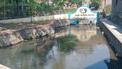 Mitos Ikan Dewa di Cenggini Tegal, Lahir Dari Dalam Kelapa Gading