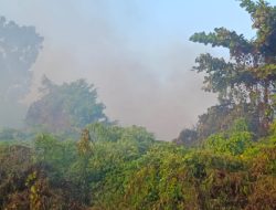 Ilalang TPU Cleret Terbakar