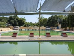 Air Kolam Tak Layak, Popda Cabor Renang Dibatalkan