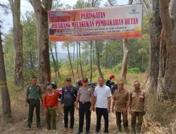 Cegah Karhutla, Perhutani Larang Warga Bakar Seresah di Hutan