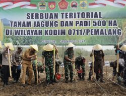 Danrem 071/Wijayakusuma Tanam Padi dan Jagung di Pemalang