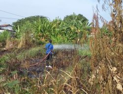 Lagi, Lahan Kosong di Pesarean Tegal Terbakar