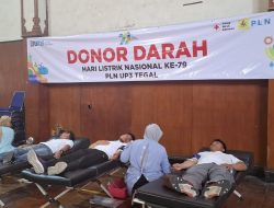 PLN Gelar Donor Darah di Hari Sumpah Pemuda dan HLN ke-79