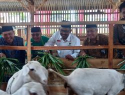 Tingkatkan Kemandirian Ekonomi Mustahik, Baznas Luncurkan Balai Ternak di Tegal
