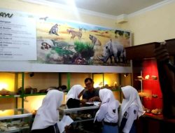 Museum Purbakala Bumiayu : Jejak Kehidupan Prasejarah di Tengah Kota