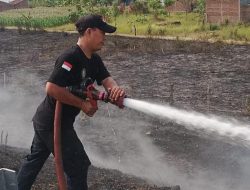 Hingga Oktober 2024, 130 Kejadian Kebakaran di Kabupaten Tegal