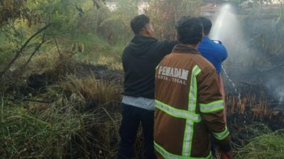 Buang Putung Rokok Sembarangan, Lahan Ilalang di Sidakaton Terbakar