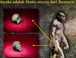 Tiga Penemuan Penting di Situs Bumiayu, Ada Fosil Manusia Purba Hingga Panthera Tigris