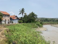 Erosi Sungai Pemali di Desa Kebandungan Kian Parah, Warga Minta Penanganan Segera