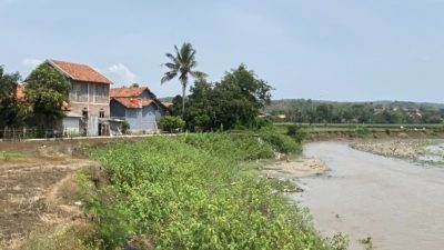 Erosi Sungai Pemali di Desa Kebandungan Kian Parah, Warga Minta Penanganan Segera