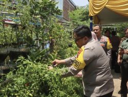 KWT Penthol  Kejambon, Jadi Gugus Tugas Ketahanan Pangan