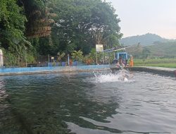 Telaga Biru Sodong Tawarkan Wisata Pemandian Alam dan Terapi Ikan